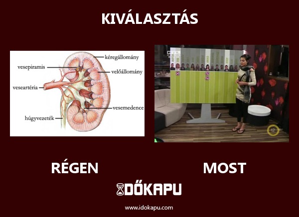 Kiválasztás
 
 title=