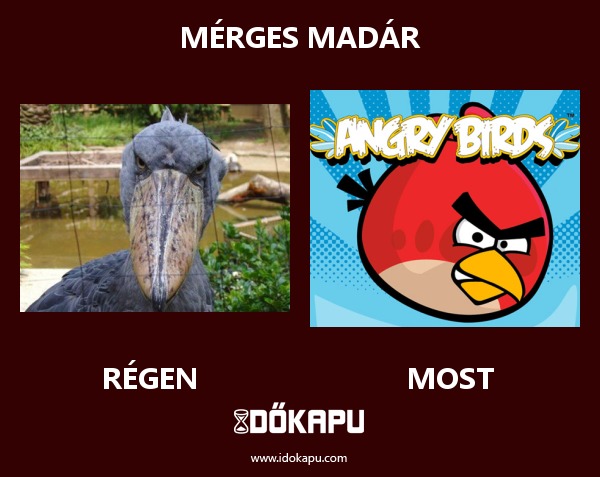 Mérges madár
 
 title=