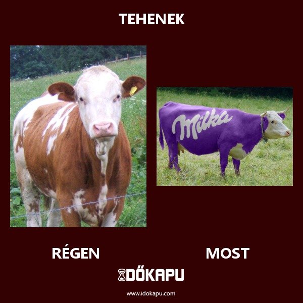 Tehenek
title=