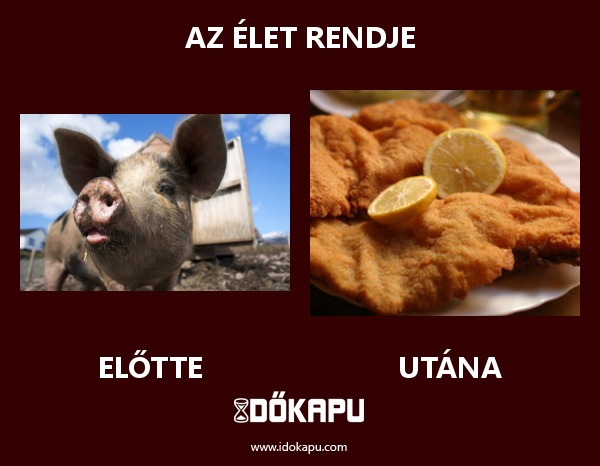Az élet rendje
title=