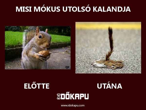 misi mókus utolsó kalandja
 
 title=