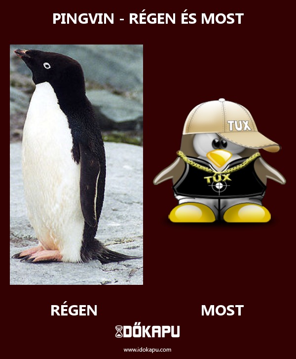 Pingvin - Régen és most
title=