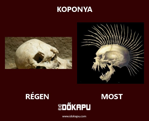 Koponya
title=