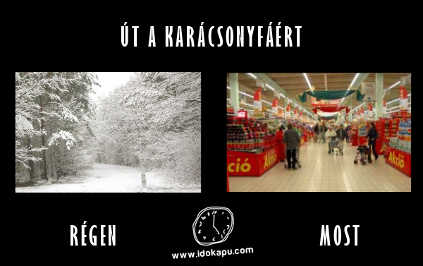 Út a karácsonyfáért
 
 title=