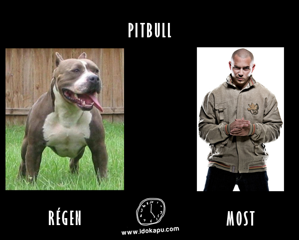 Pitbull
 
 title=